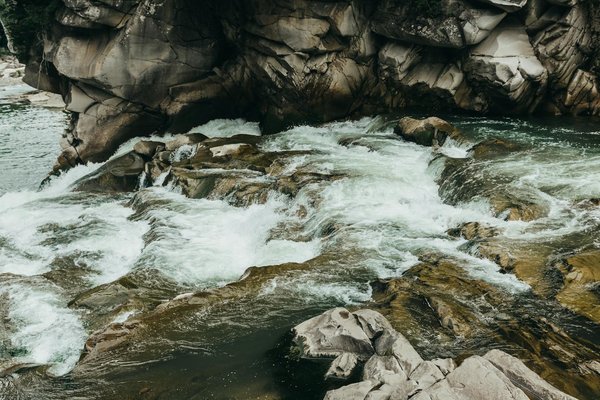 La croisière bien-être après COVID-19: changements et adaptations