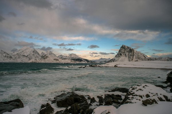 Vacances avec animaux : comment louer un gîte acceptant les chiens ?